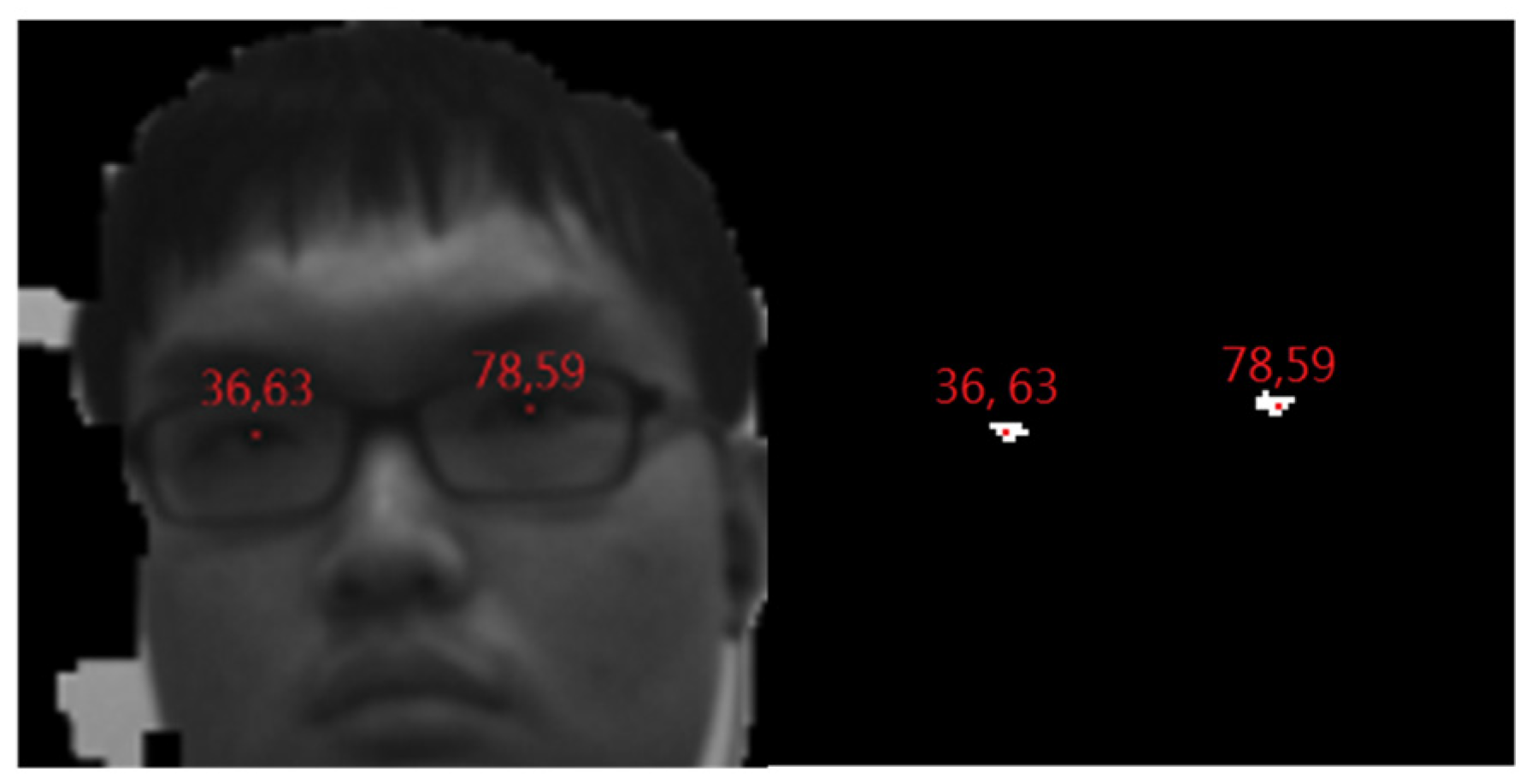 Engproc 92 00043 g011