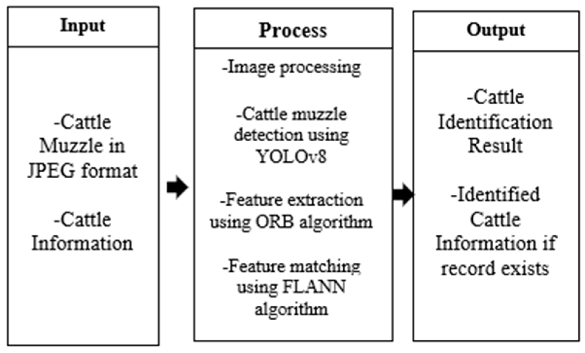 Engproc 92 00053 g001