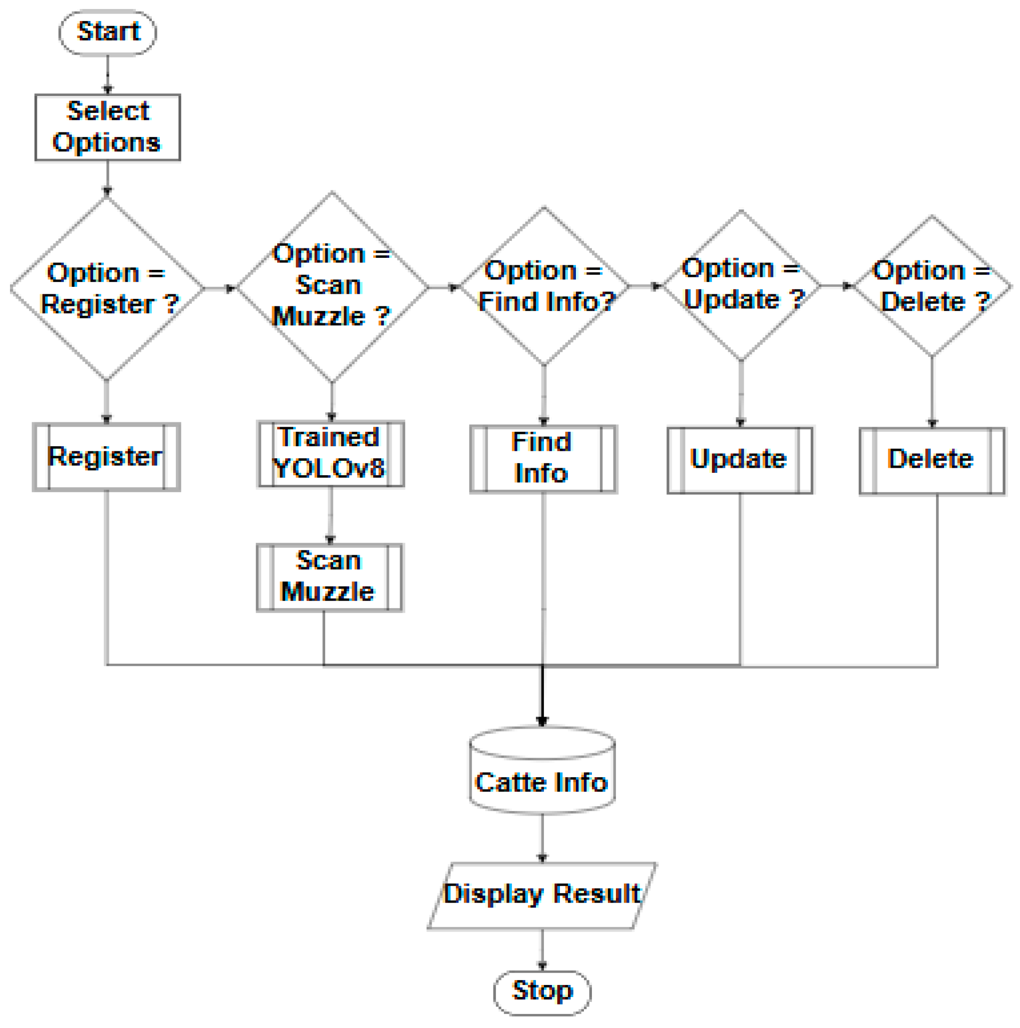 Engproc 92 00053 g003