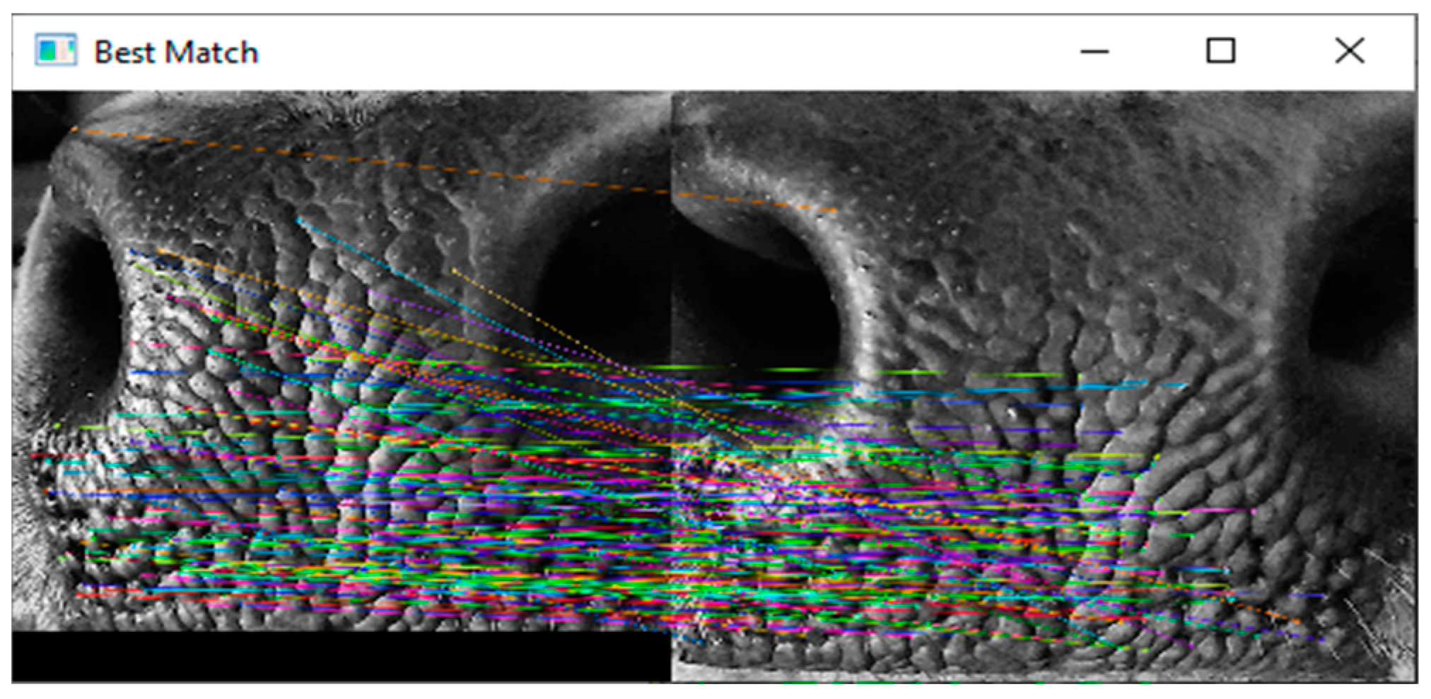 Engproc 92 00053 g006