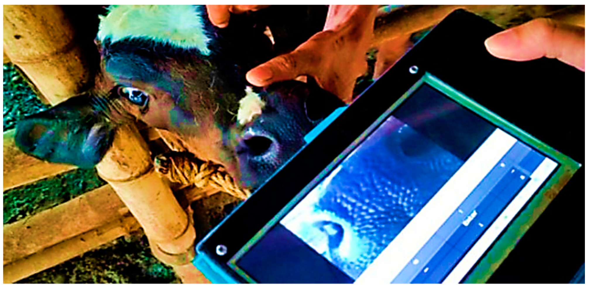 Engproc 92 00053 g007