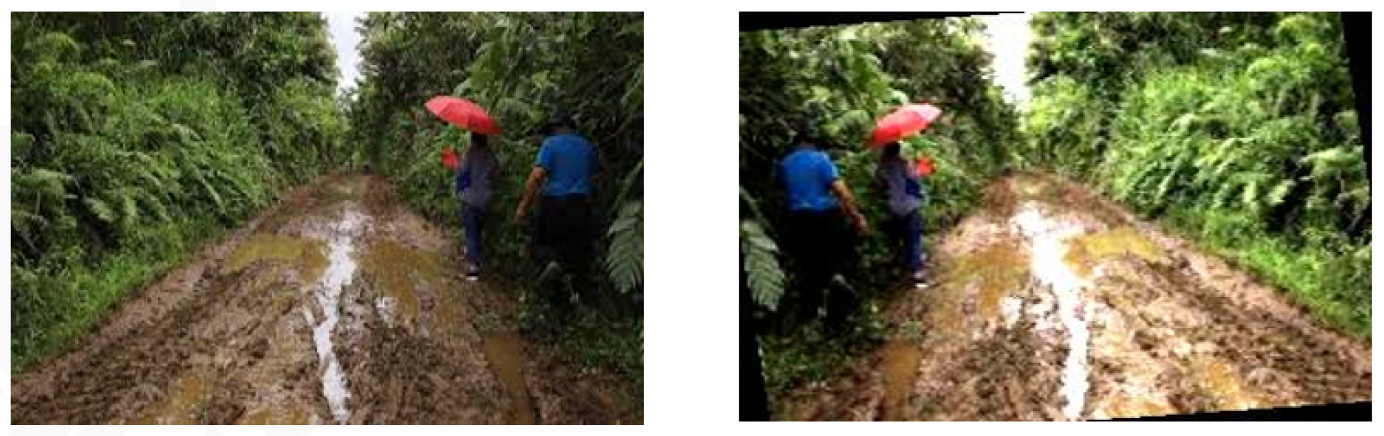 Engproc 92 00075 g003