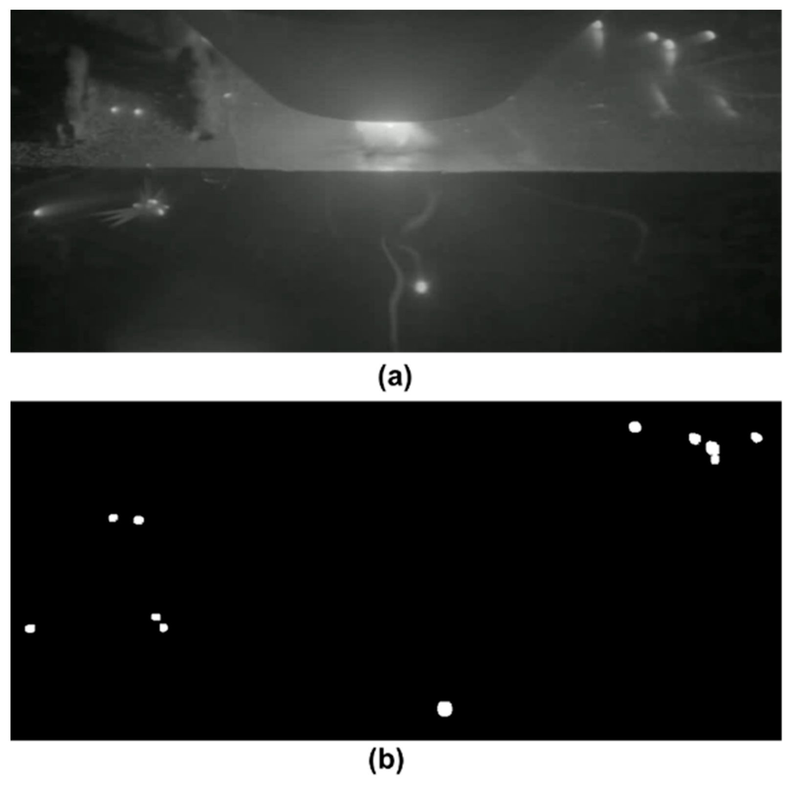 Engproc 92 00078 g003