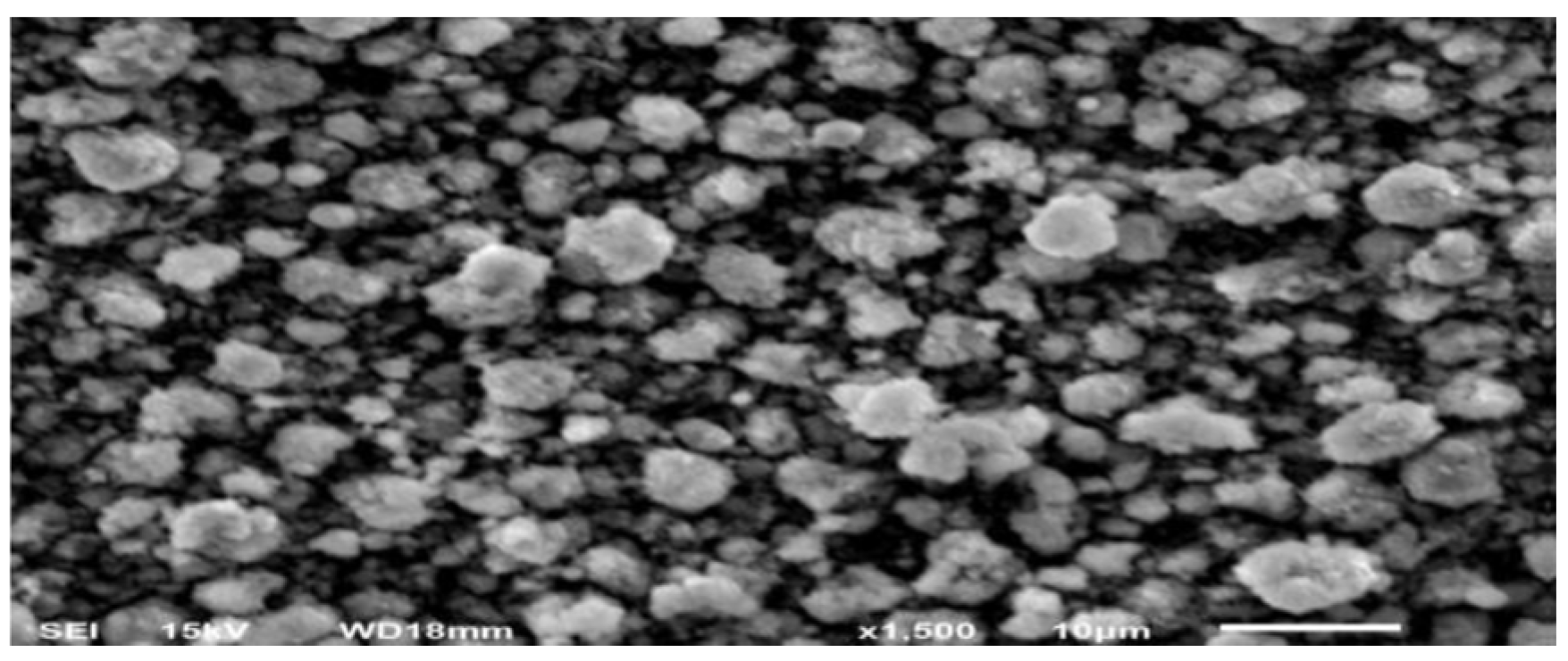 Engproc 93 00016 g003