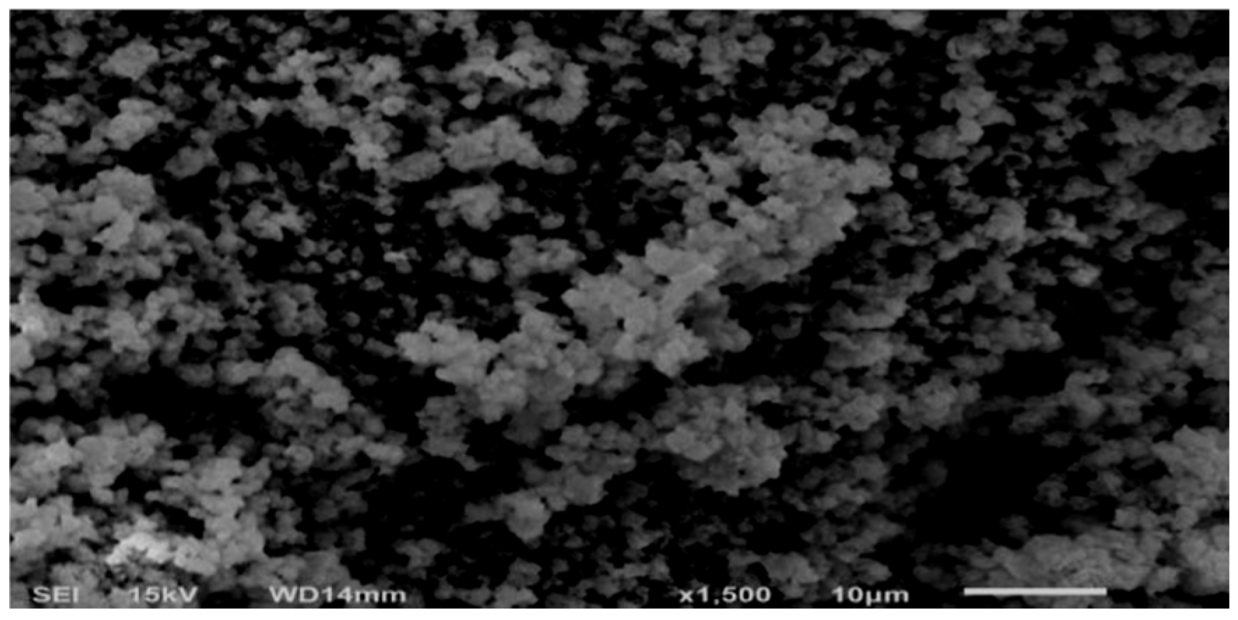 Engproc 93 00016 g004