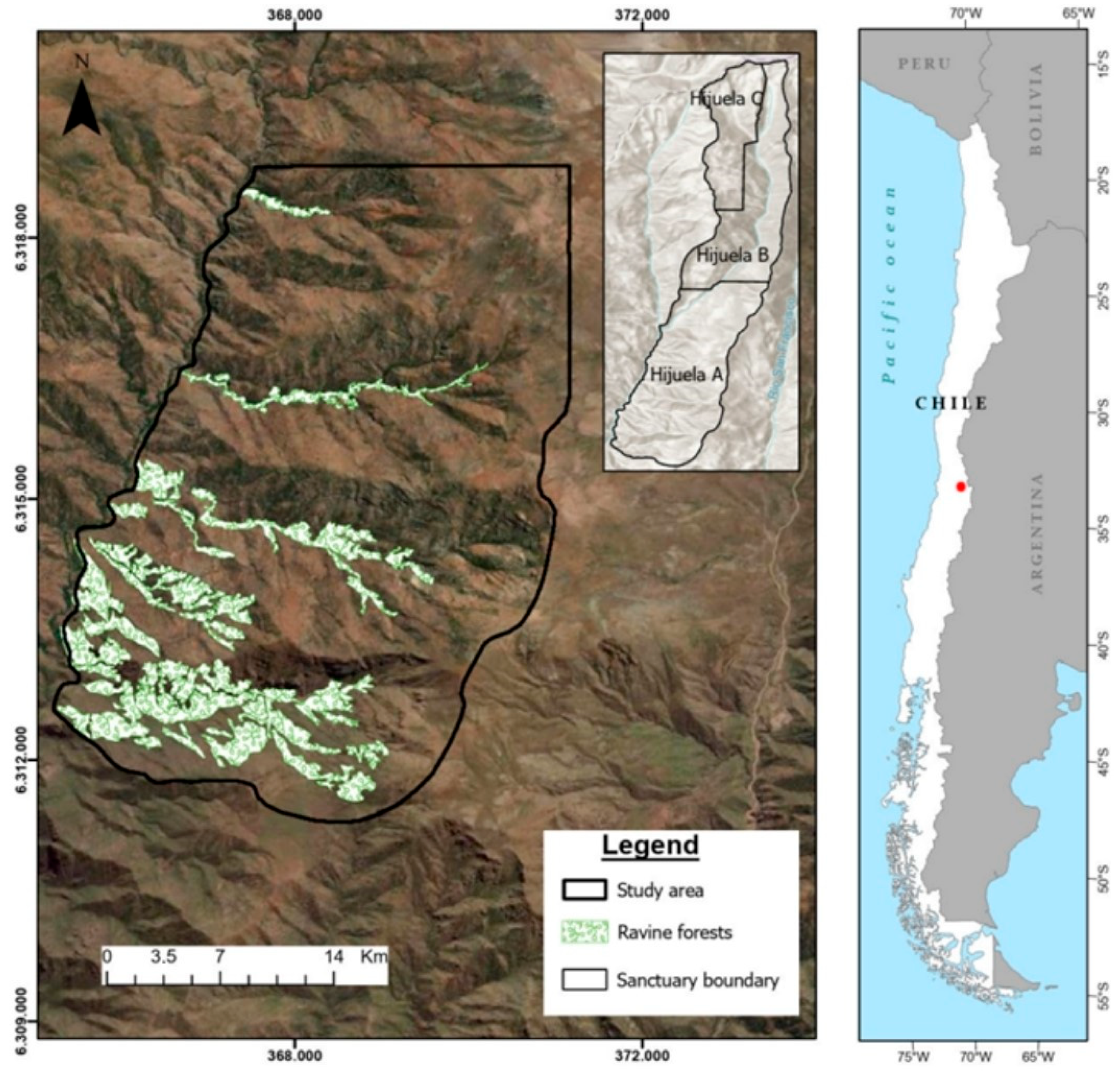 Engproc 94 00009 g001