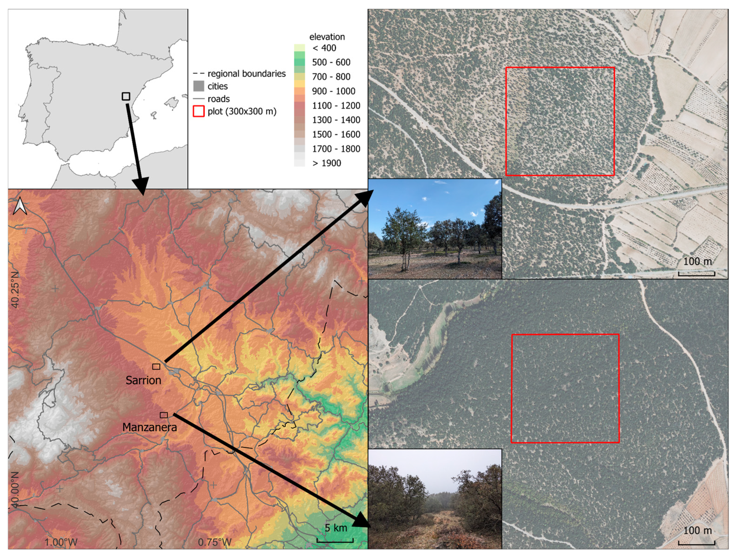 Engproc 94 00013 g001