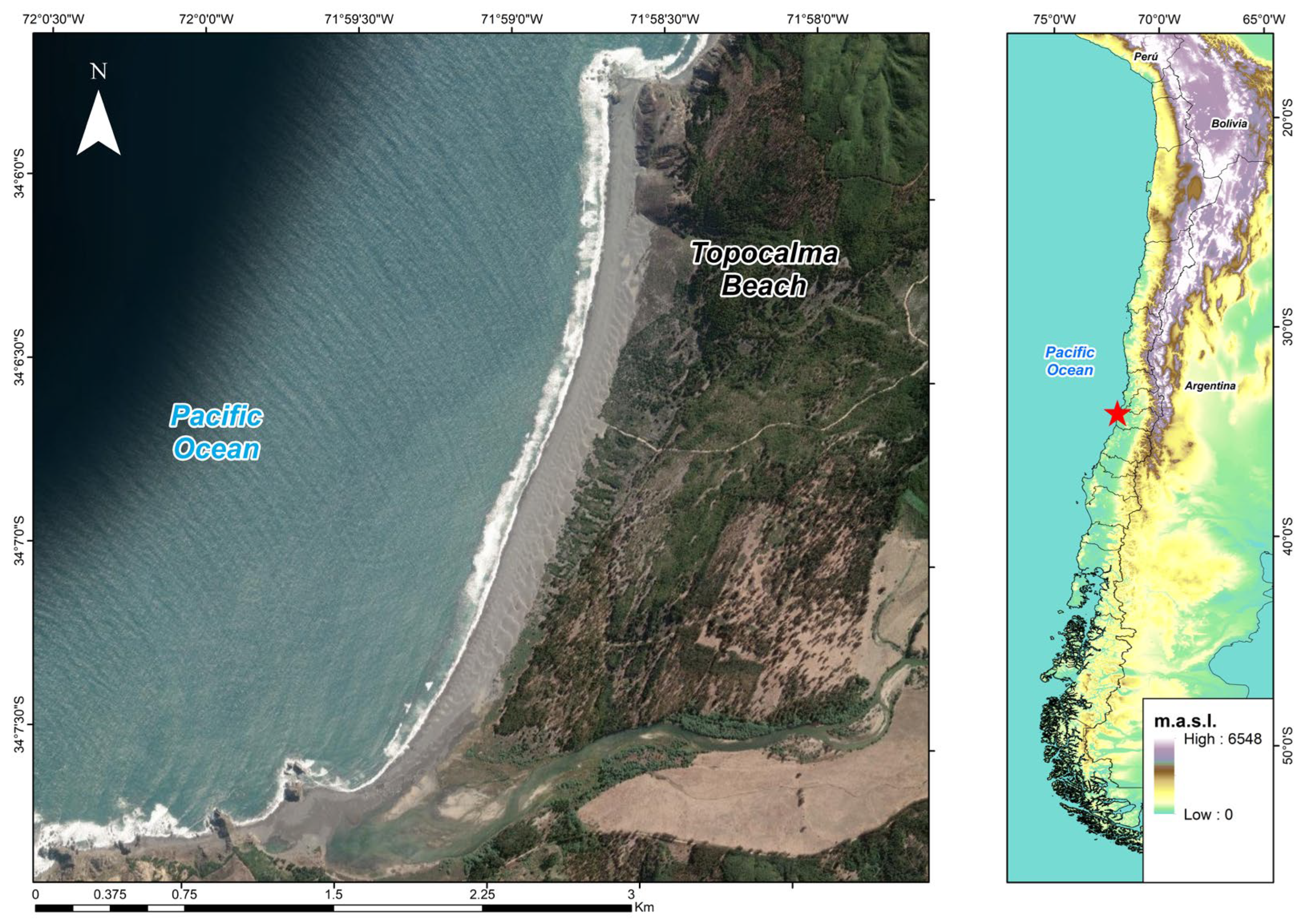 Engproc 94 00016 g001