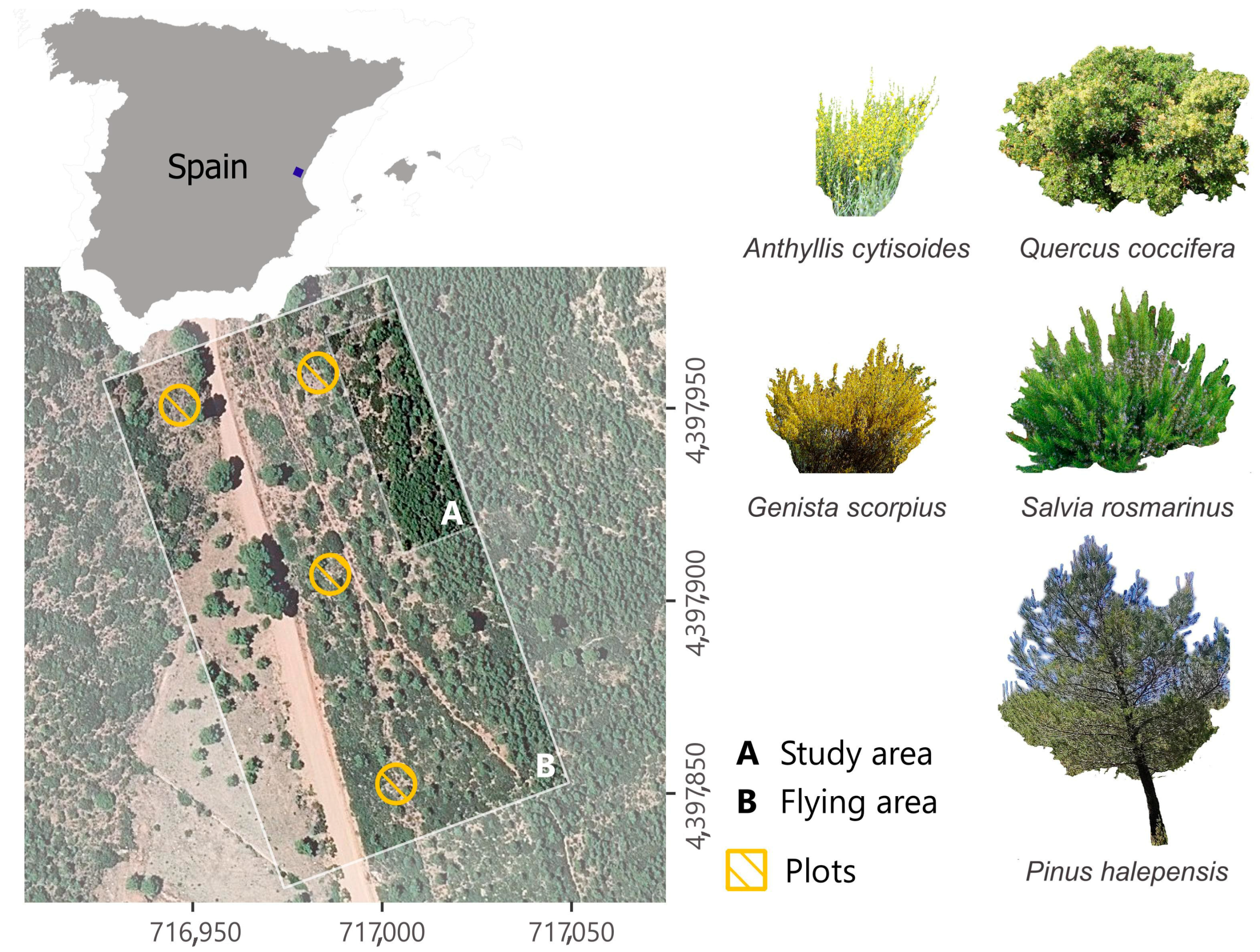 Engproc 94 00017 g001