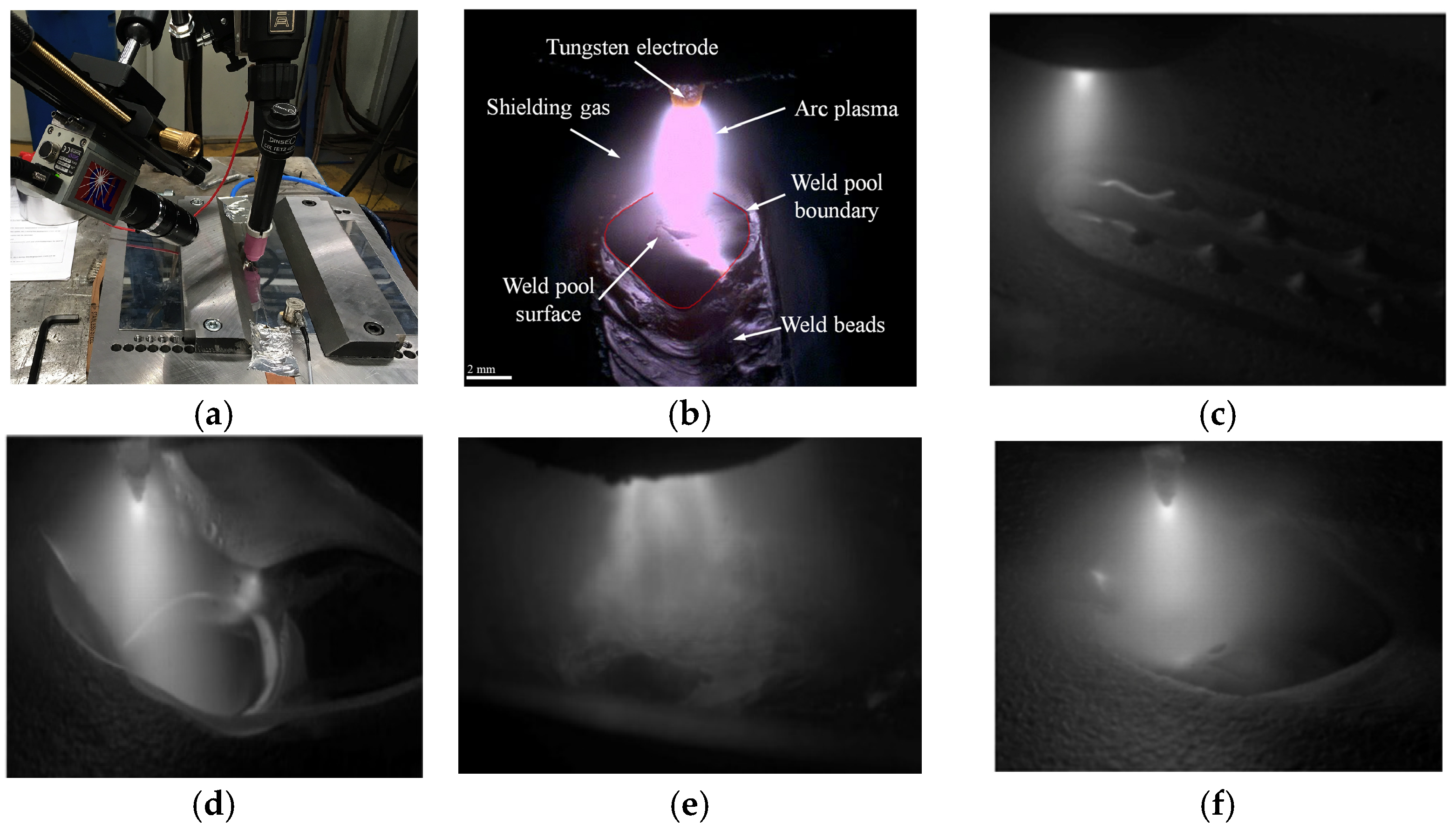 Engproc 95 00005 g002