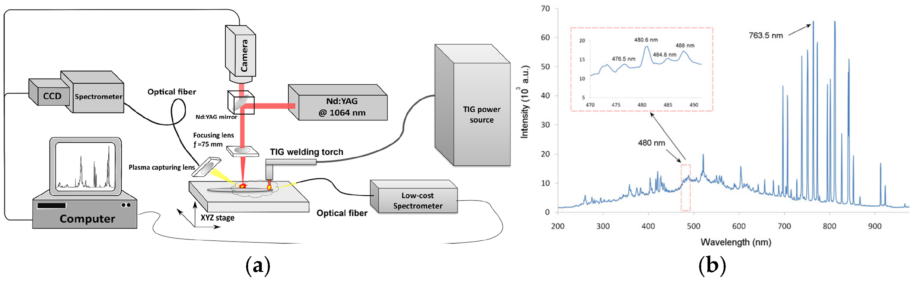 Engproc 95 00005 g005