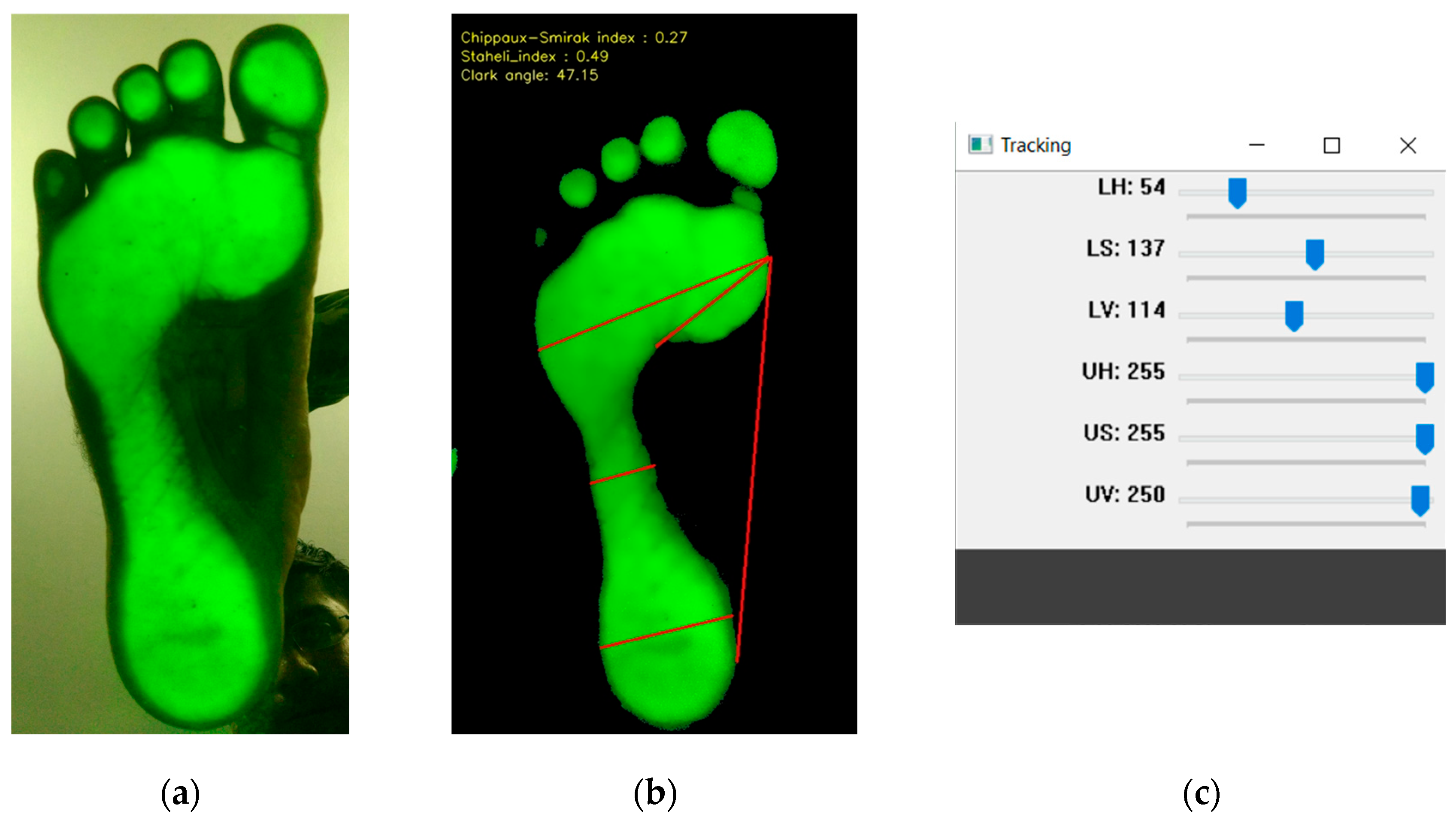 Engproc 95 00006 g003