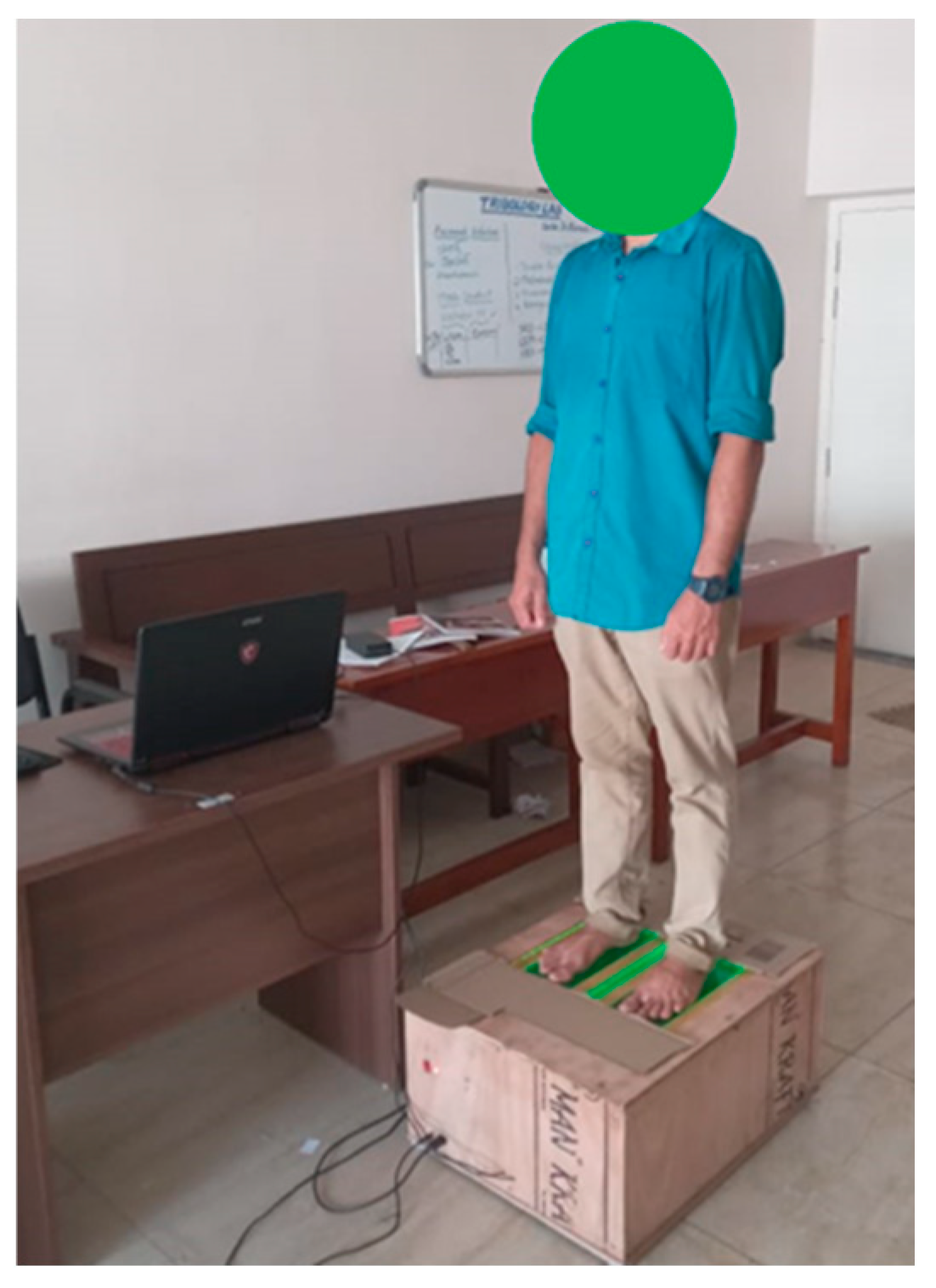 Engproc 95 00006 g004