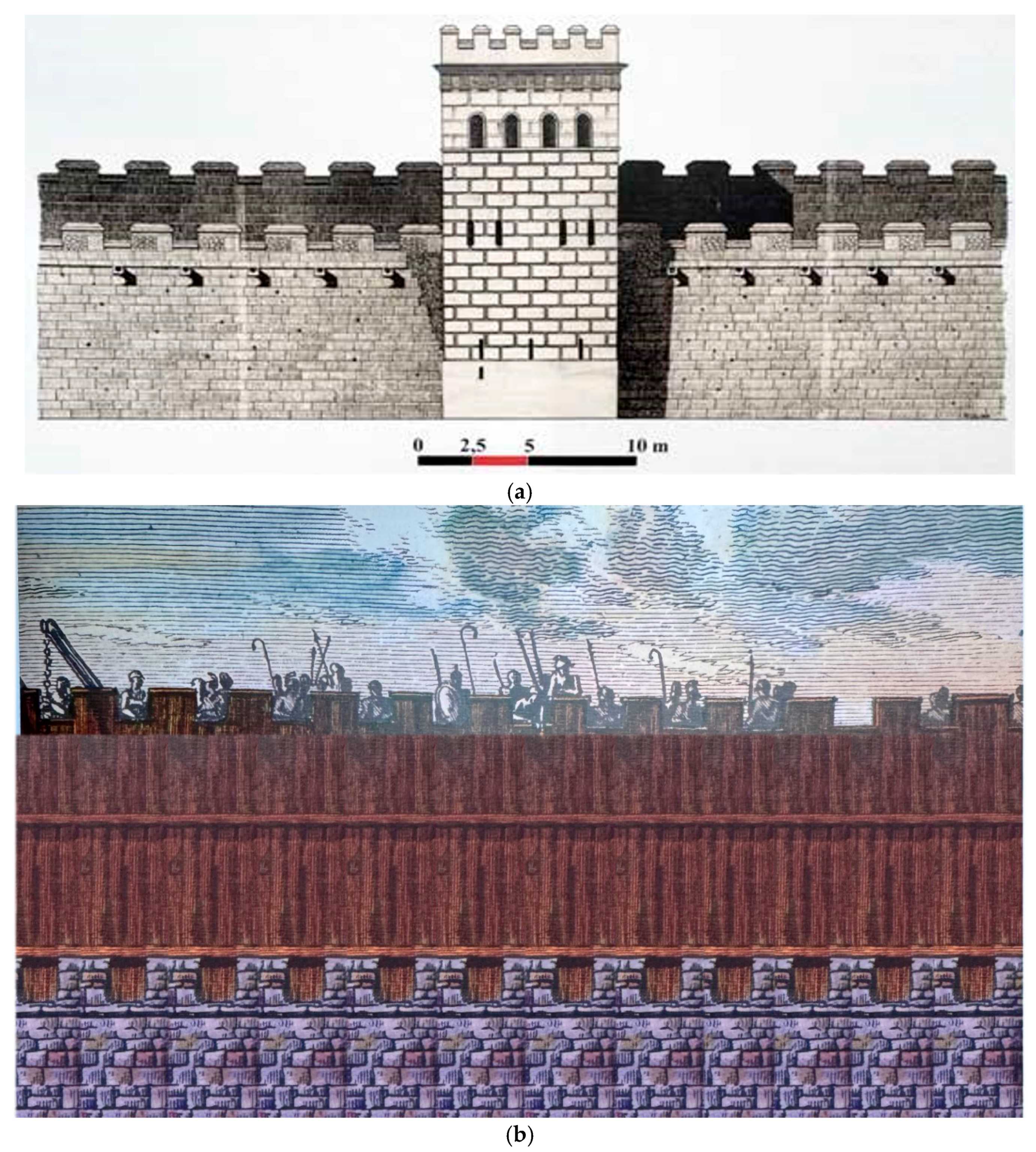 Engproc 96 00002 g001