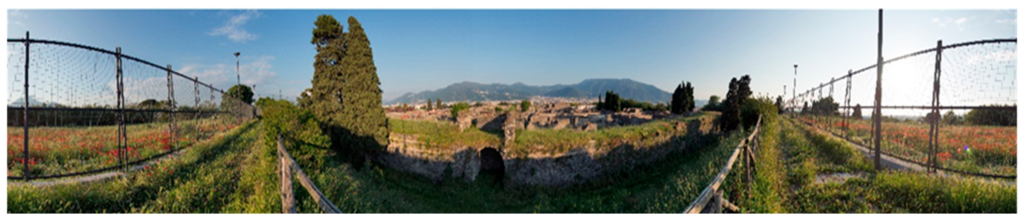 Engproc 96 00002 g002