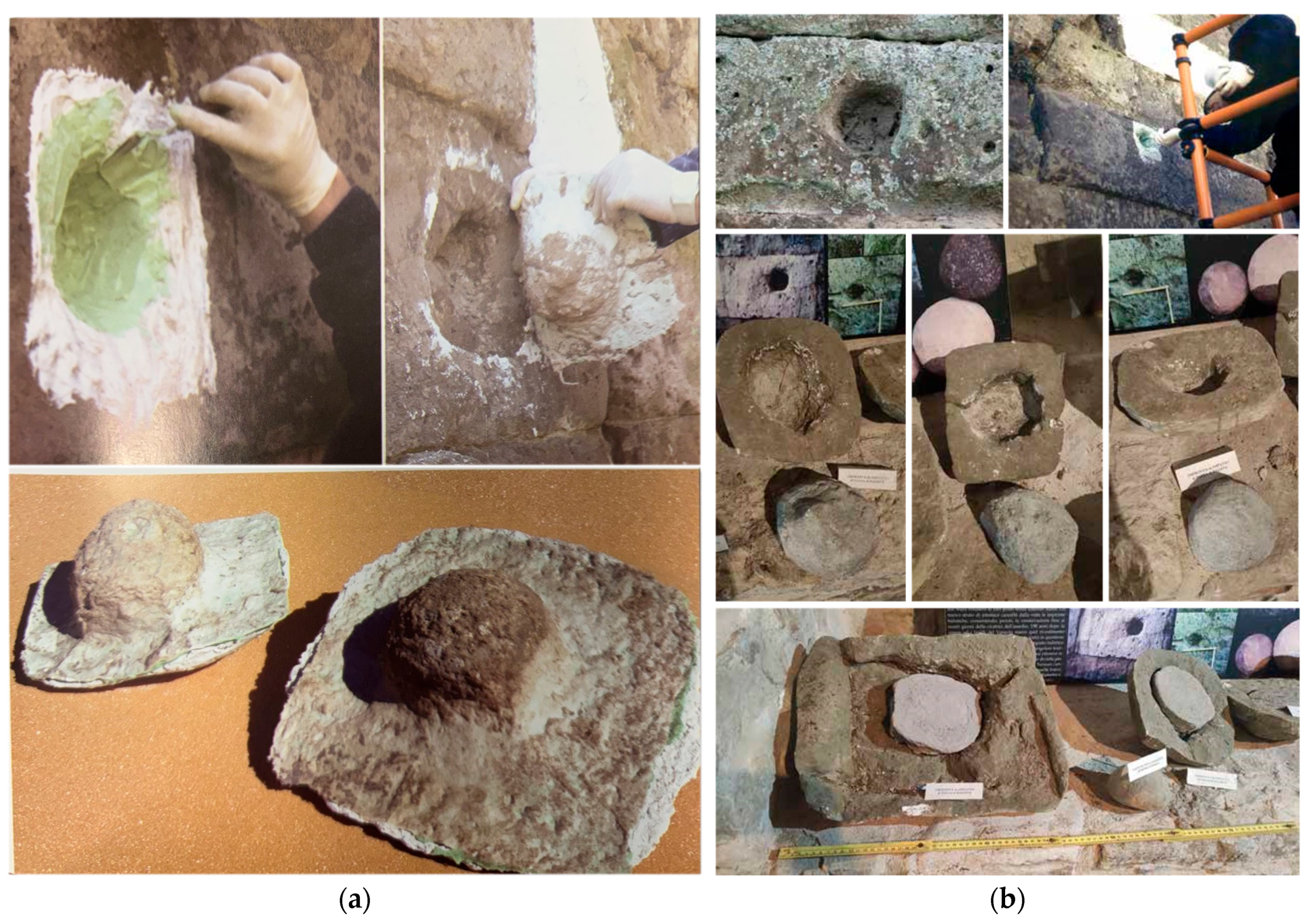 Engproc 96 00002 g003