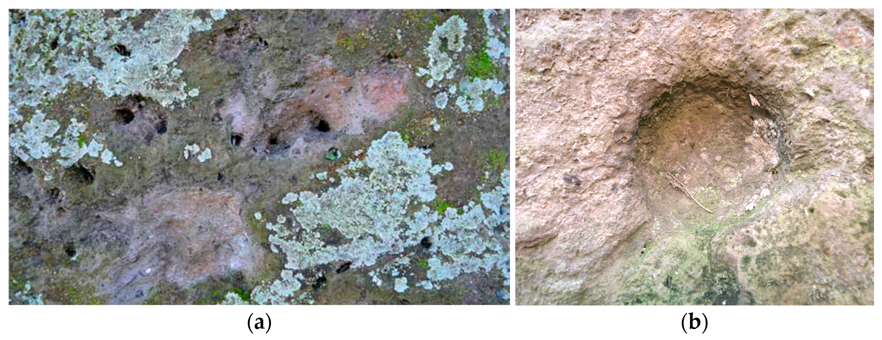 Engproc 96 00002 g004