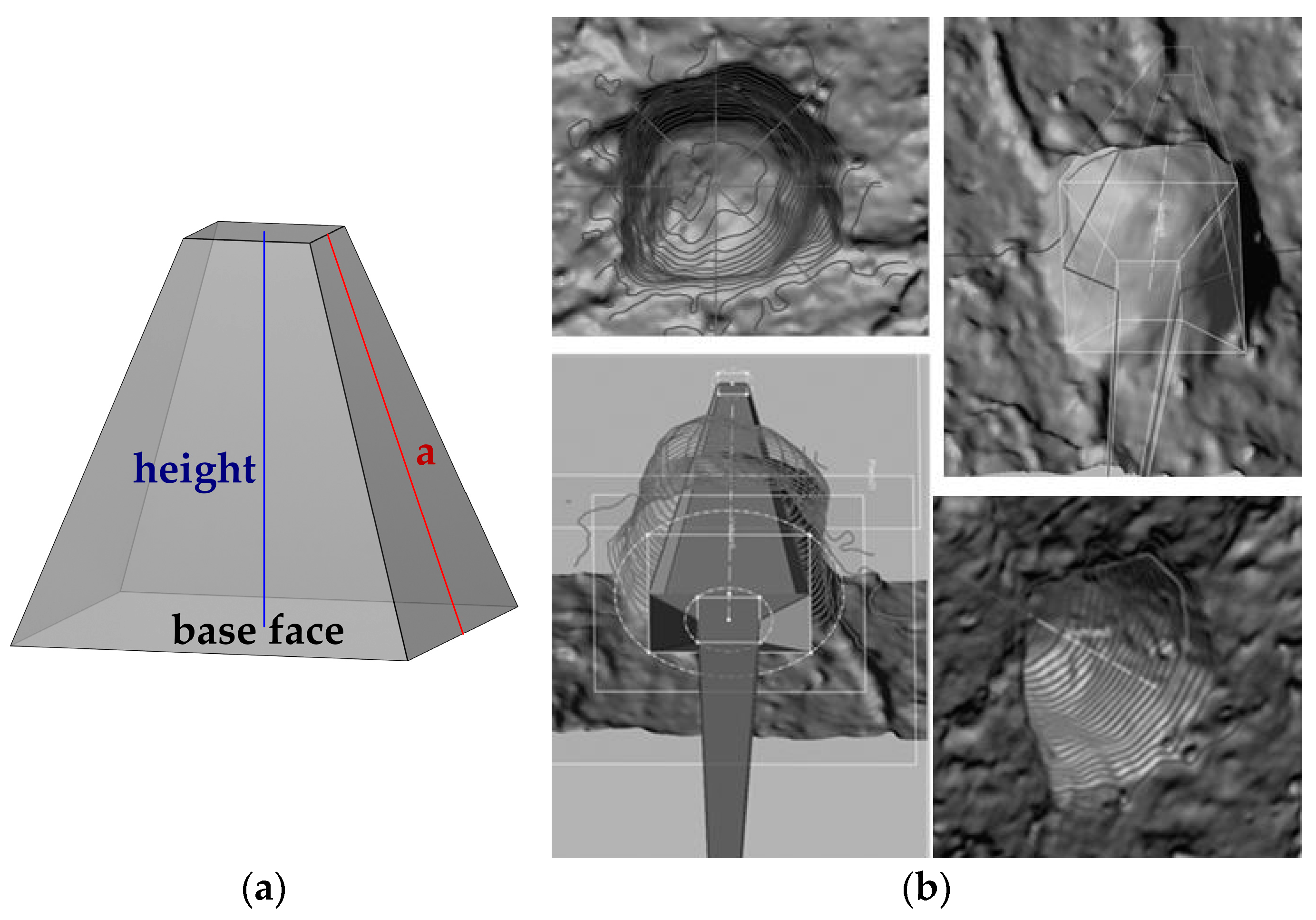 Engproc 96 00002 g006