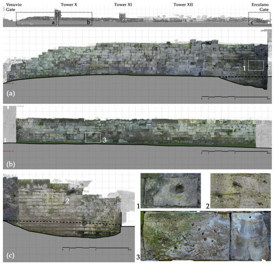 Engproc 96 00004 g002