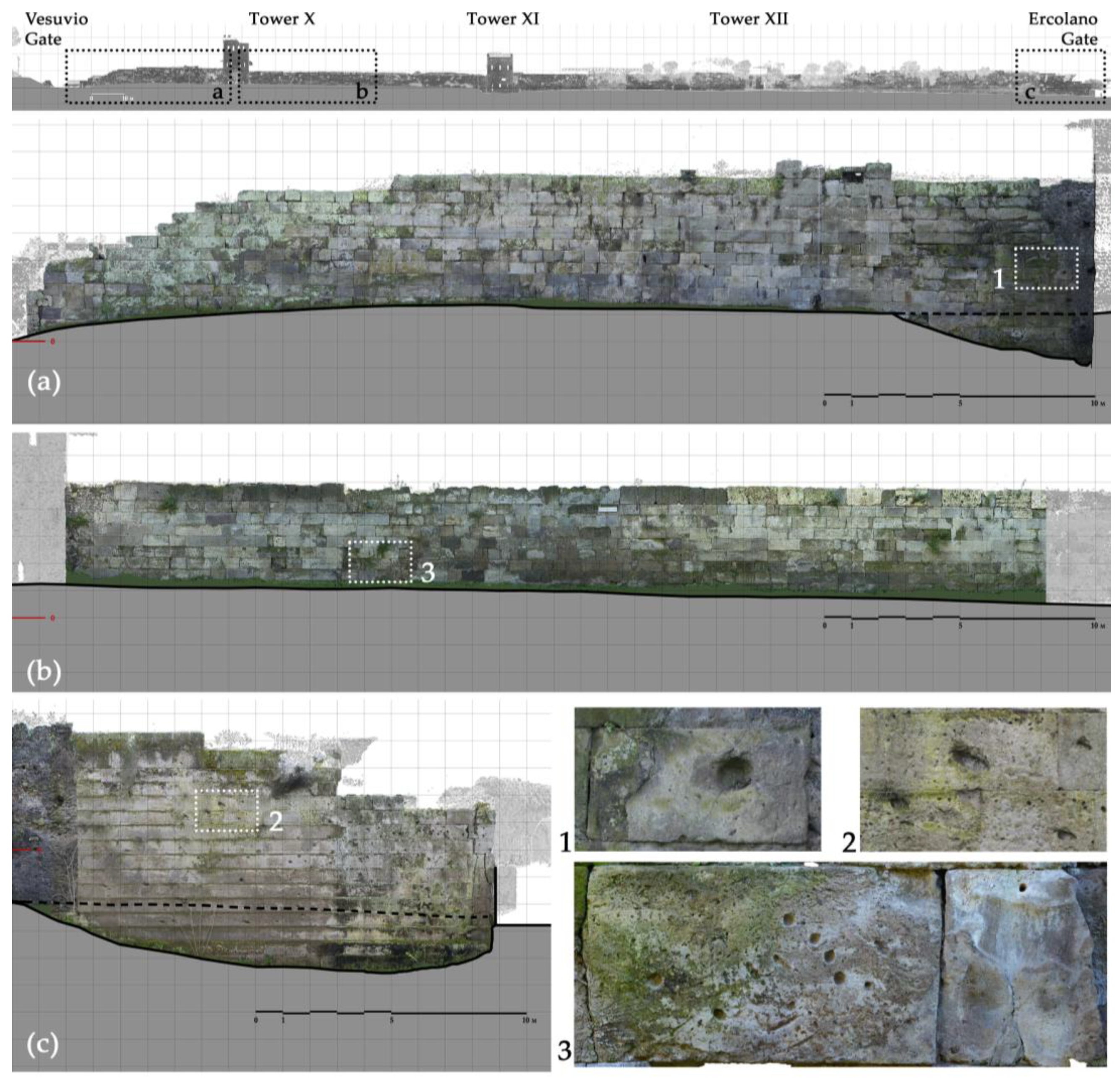 Engproc 96 00004 g002