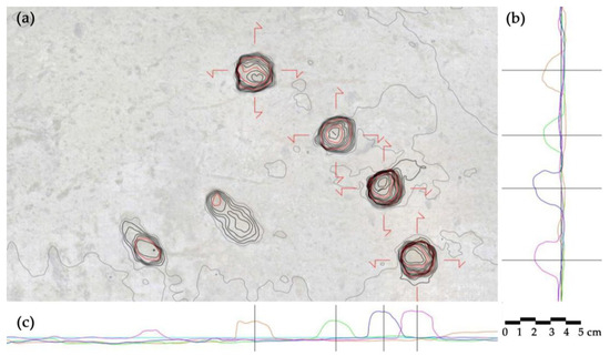 Engproc 96 00004 g011