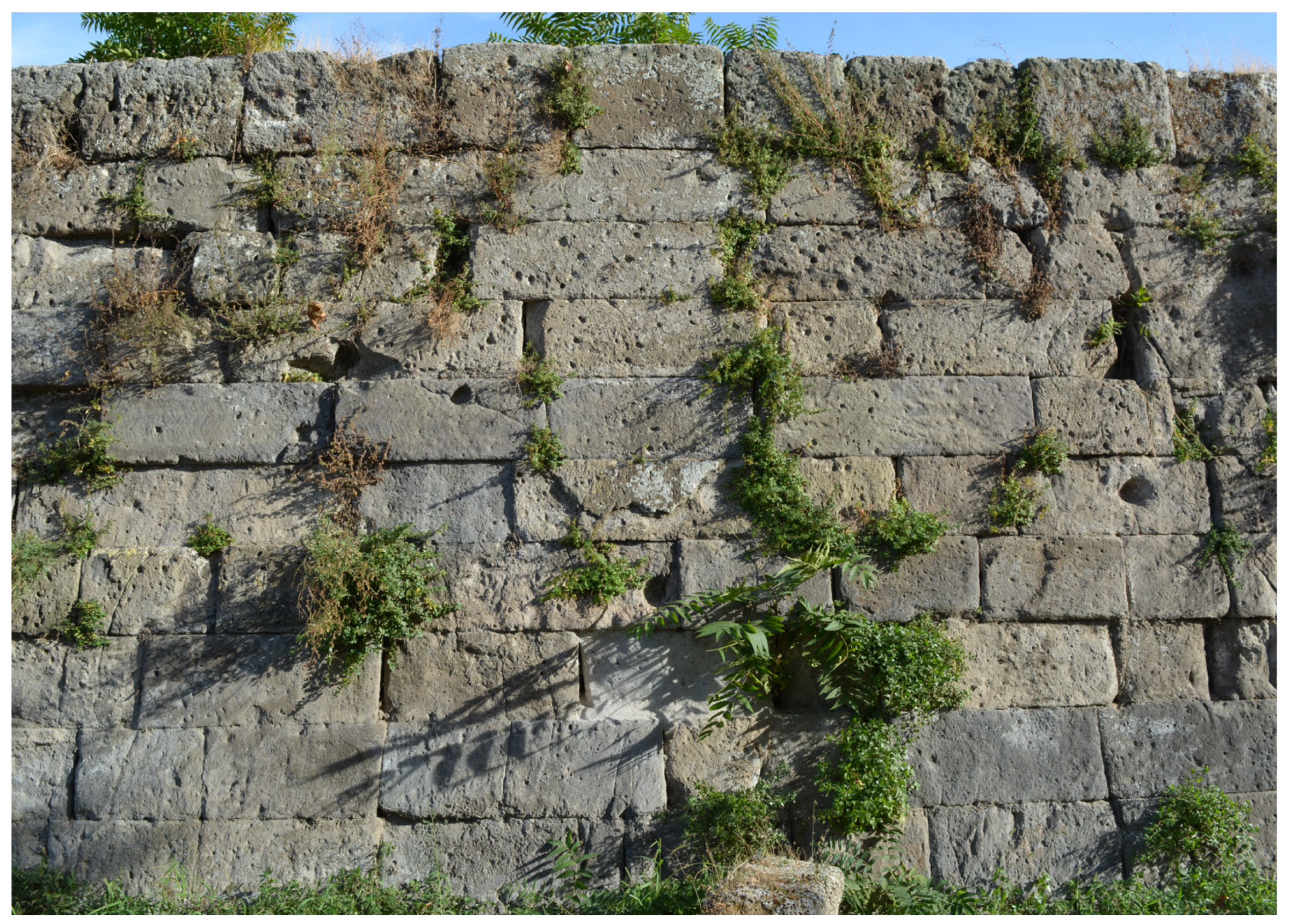 Engproc 96 00005 g001