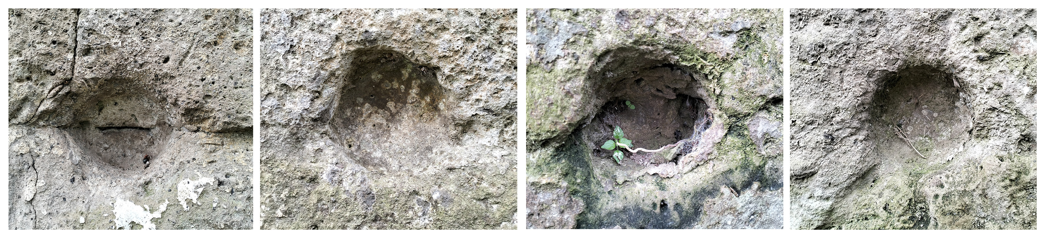 Engproc 96 00011 g001