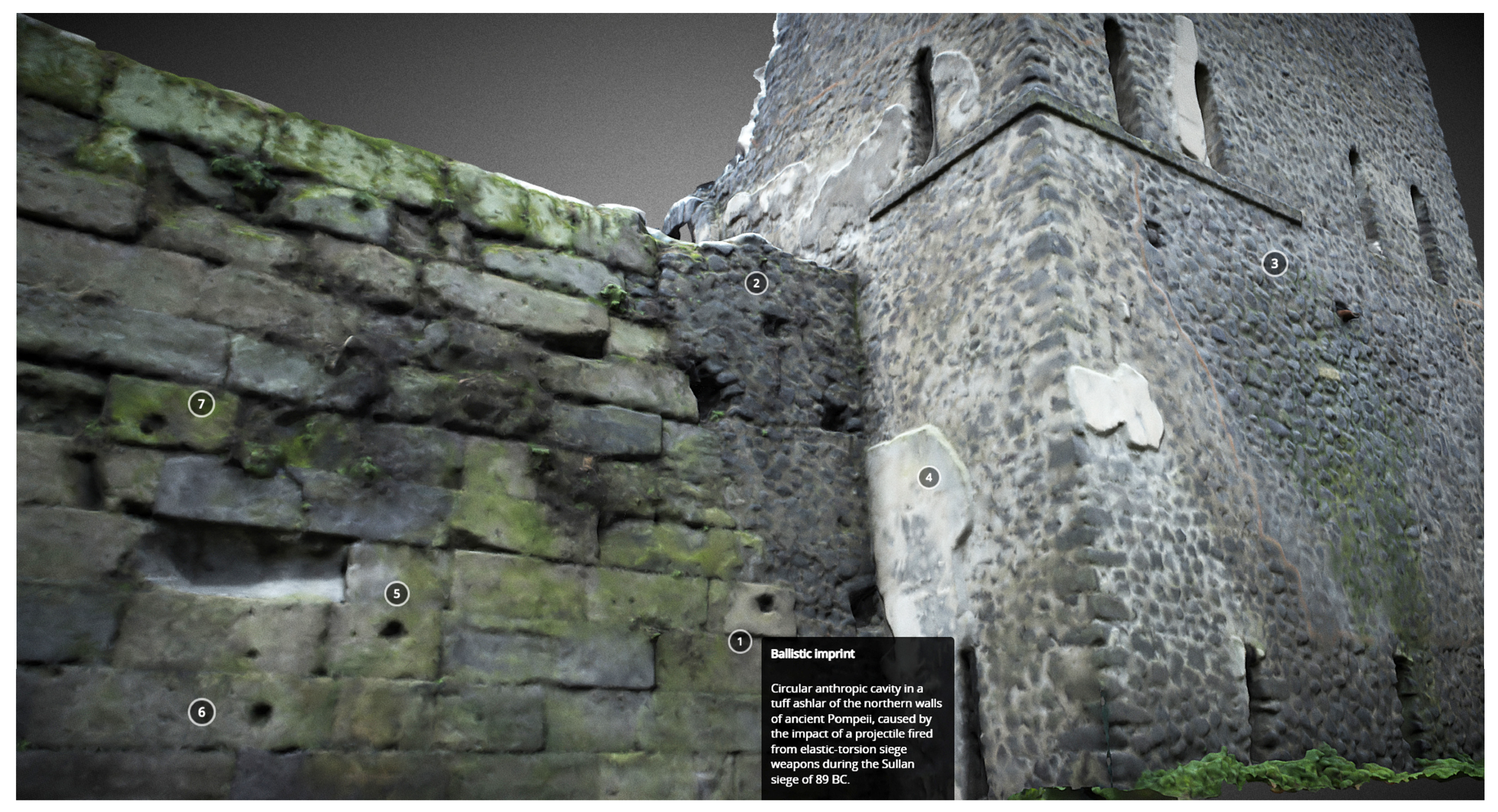 Engproc 96 00011 g010