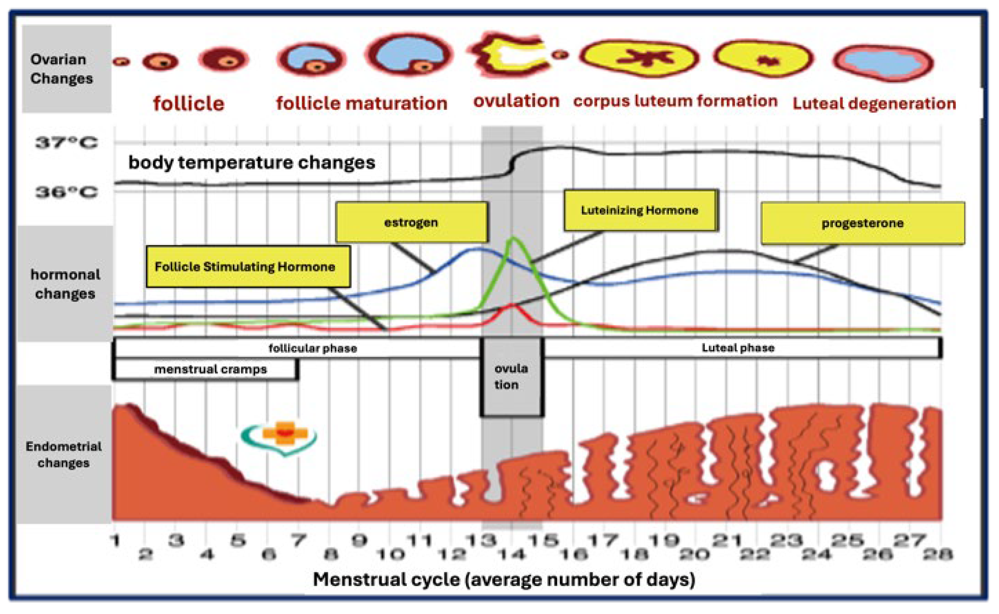 Engproc 98 00002 g001