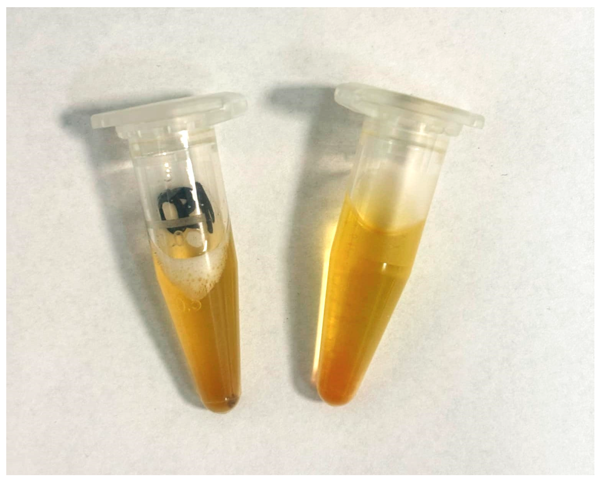 Engproc 98 00005 g001