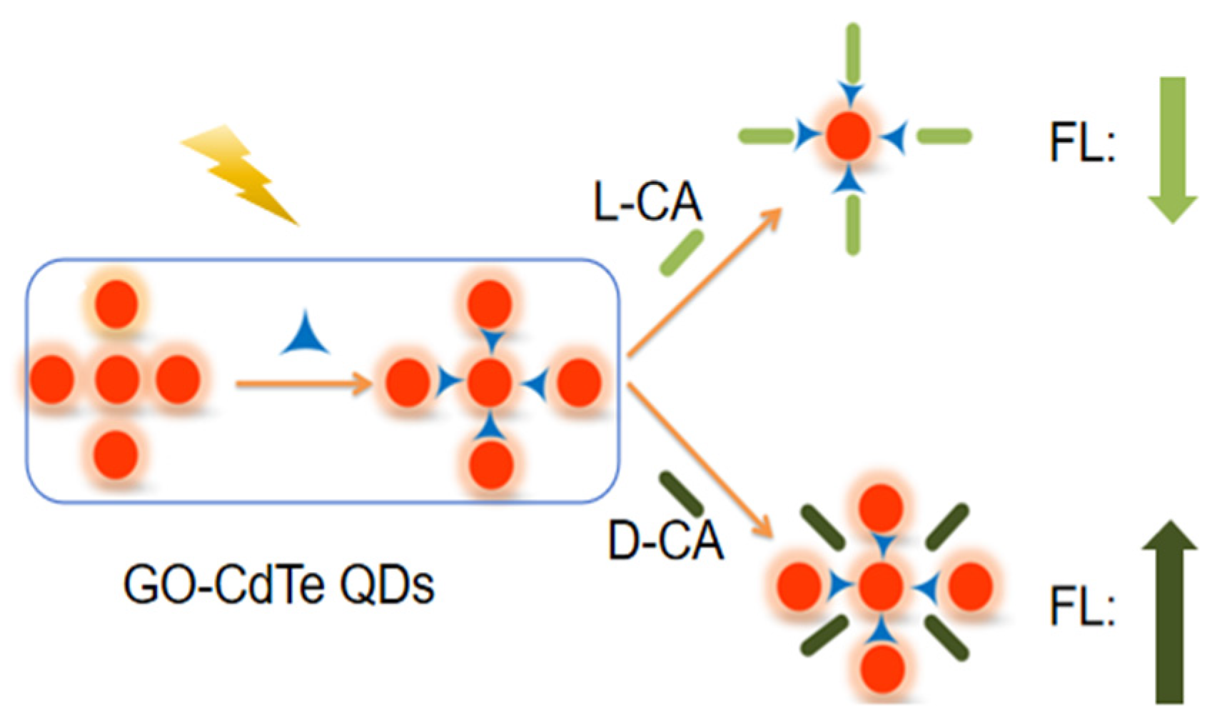 Engproc 98 00034 g005