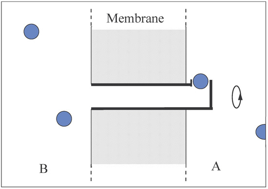 Entropy 06 00087 g002 550