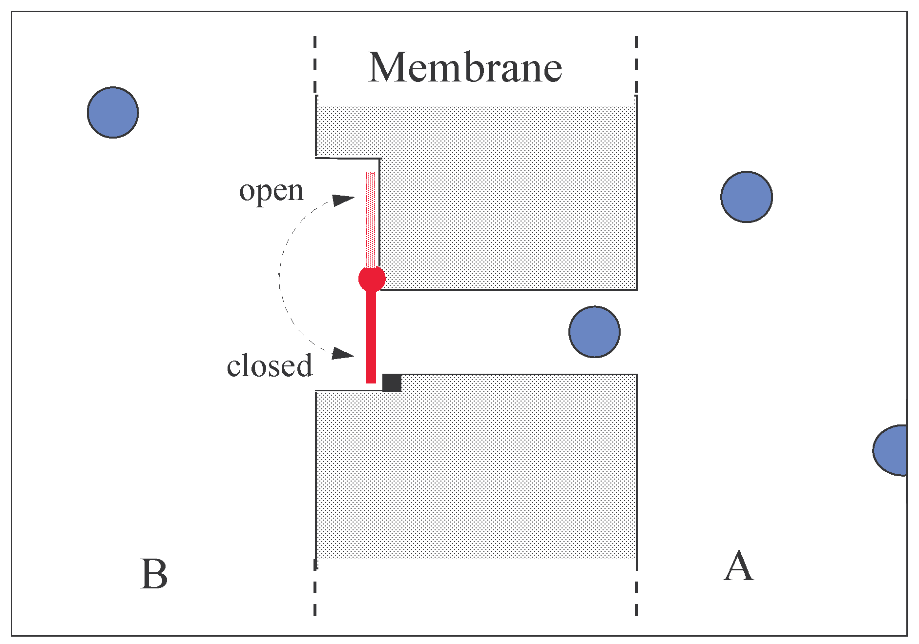 Entropy 06 00096 g001