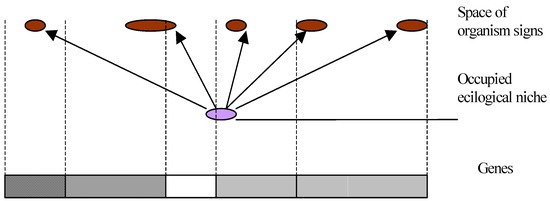 Entropy 06 00223 g001 550