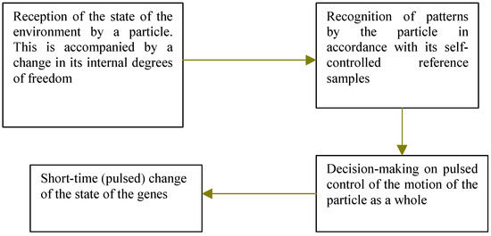 Entropy 06 00223 g004 550