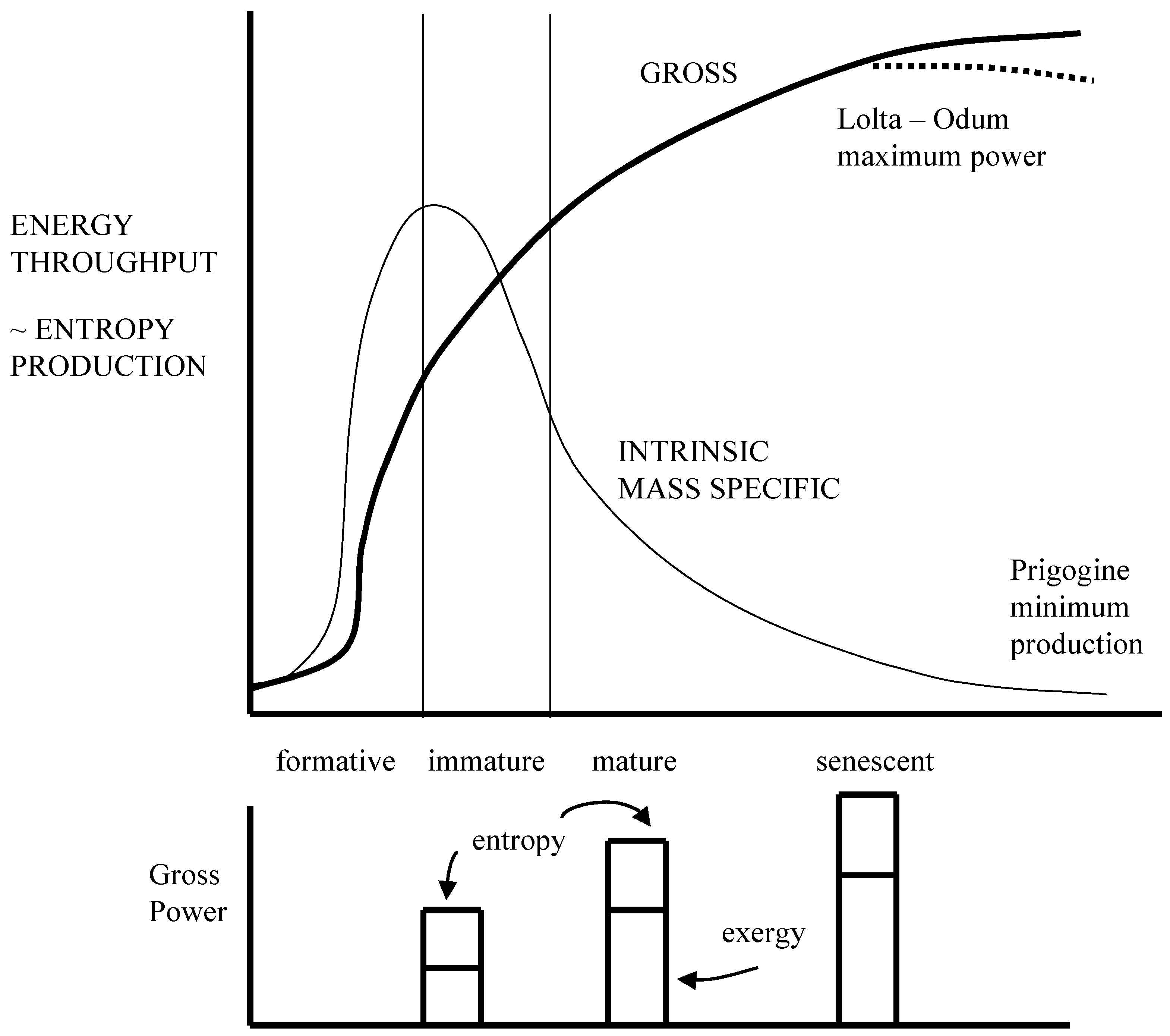Entropy 09 00083 g001