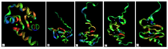 Entropy 11 00062 g004