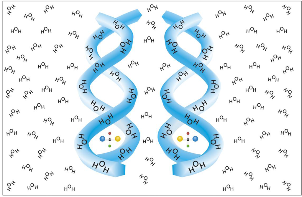 Entropy 11 00667 g001 1024