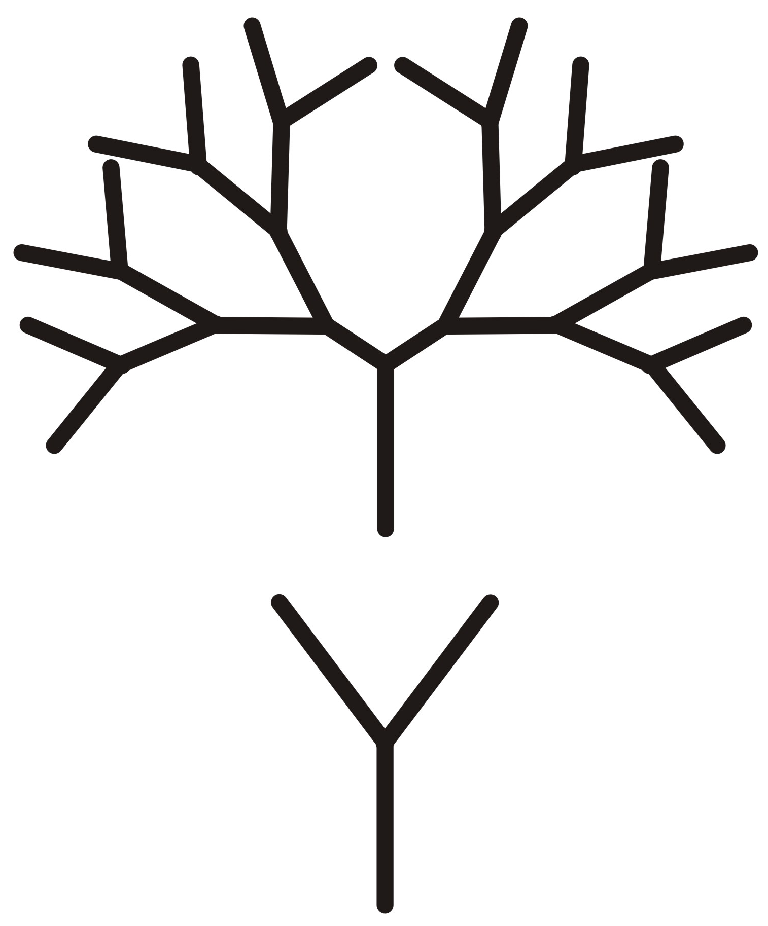 Entropy 11 00836 g001