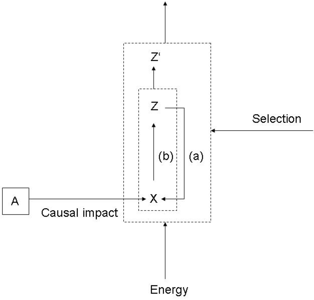 Entropy 12 00197 g004 1024