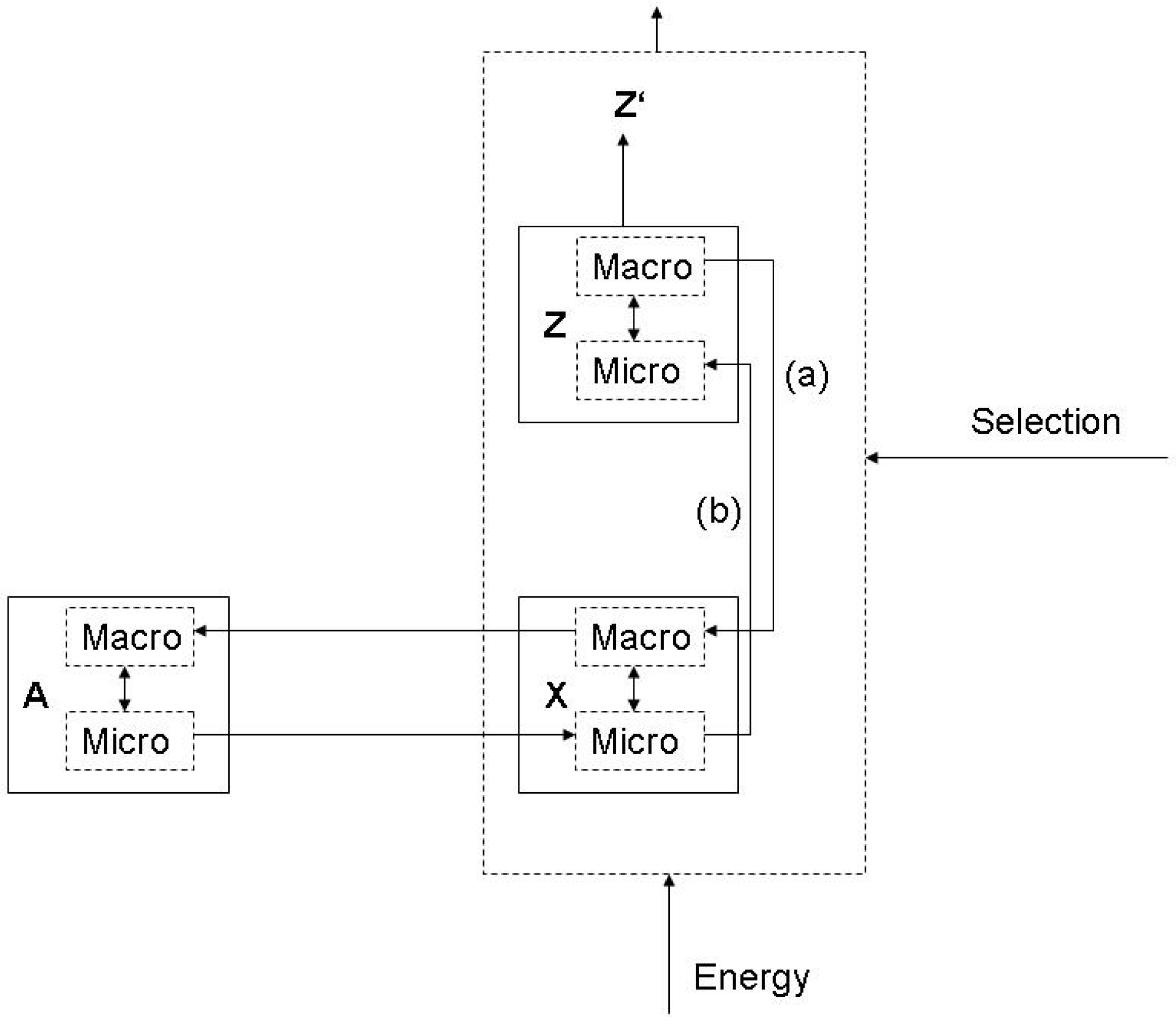 Entropy 12 00197 g005