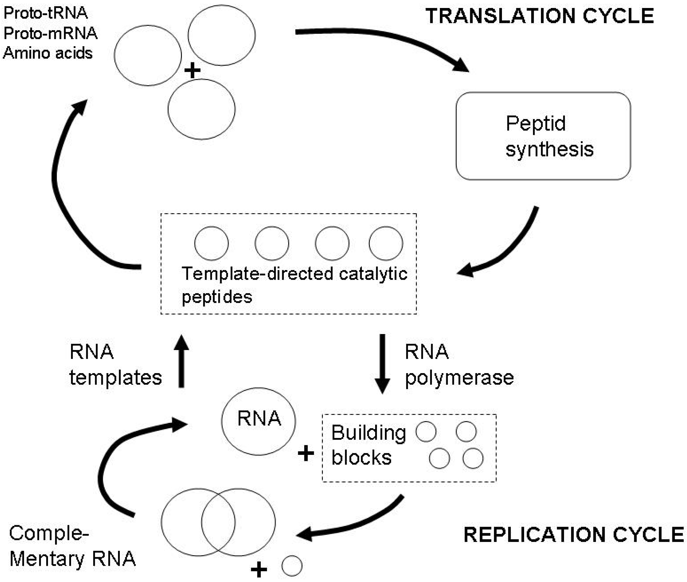 Entropy 12 00197 g007