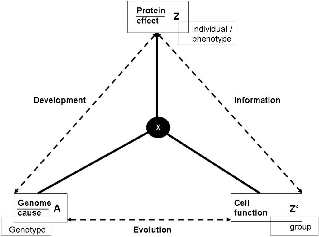 Entropy 12 00197 g011 1024