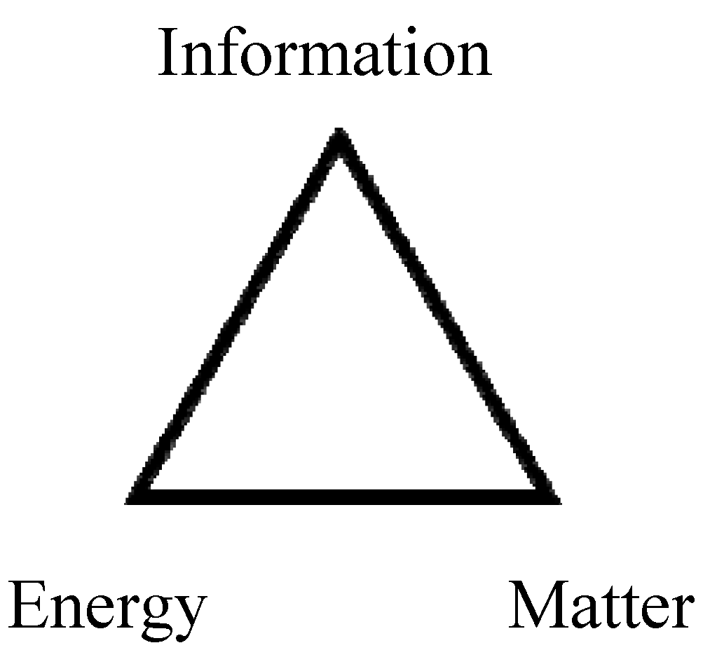 Entropy 12 00528 g001