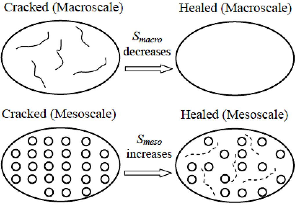 Entropy 12 01021 g011 1024