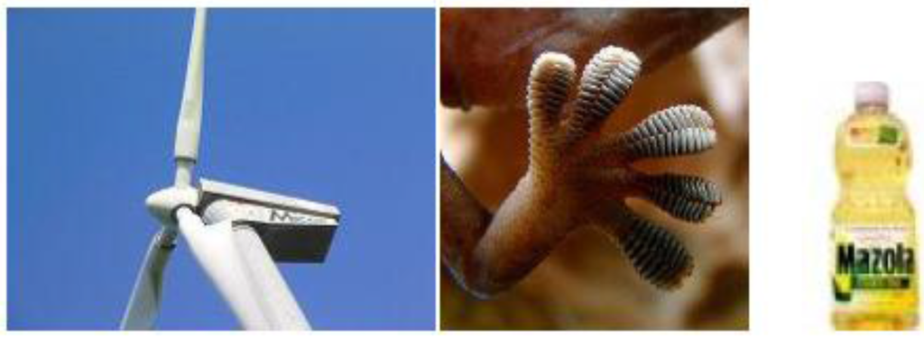 Entropy 12 01345 g016 1024