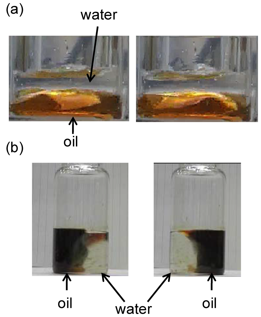 Entropy 12 02308 g002 1024