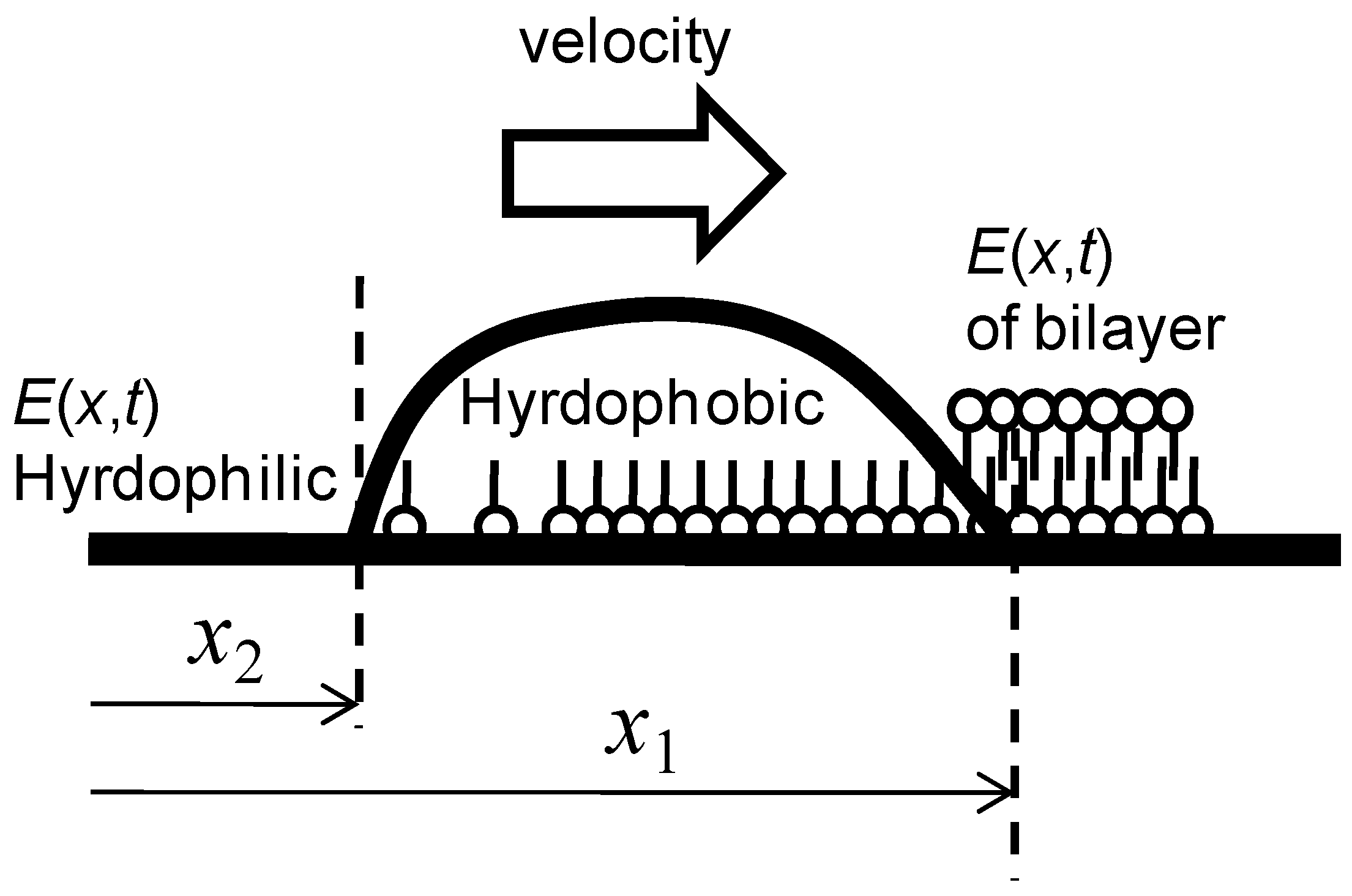 Entropy 12 02308 g003