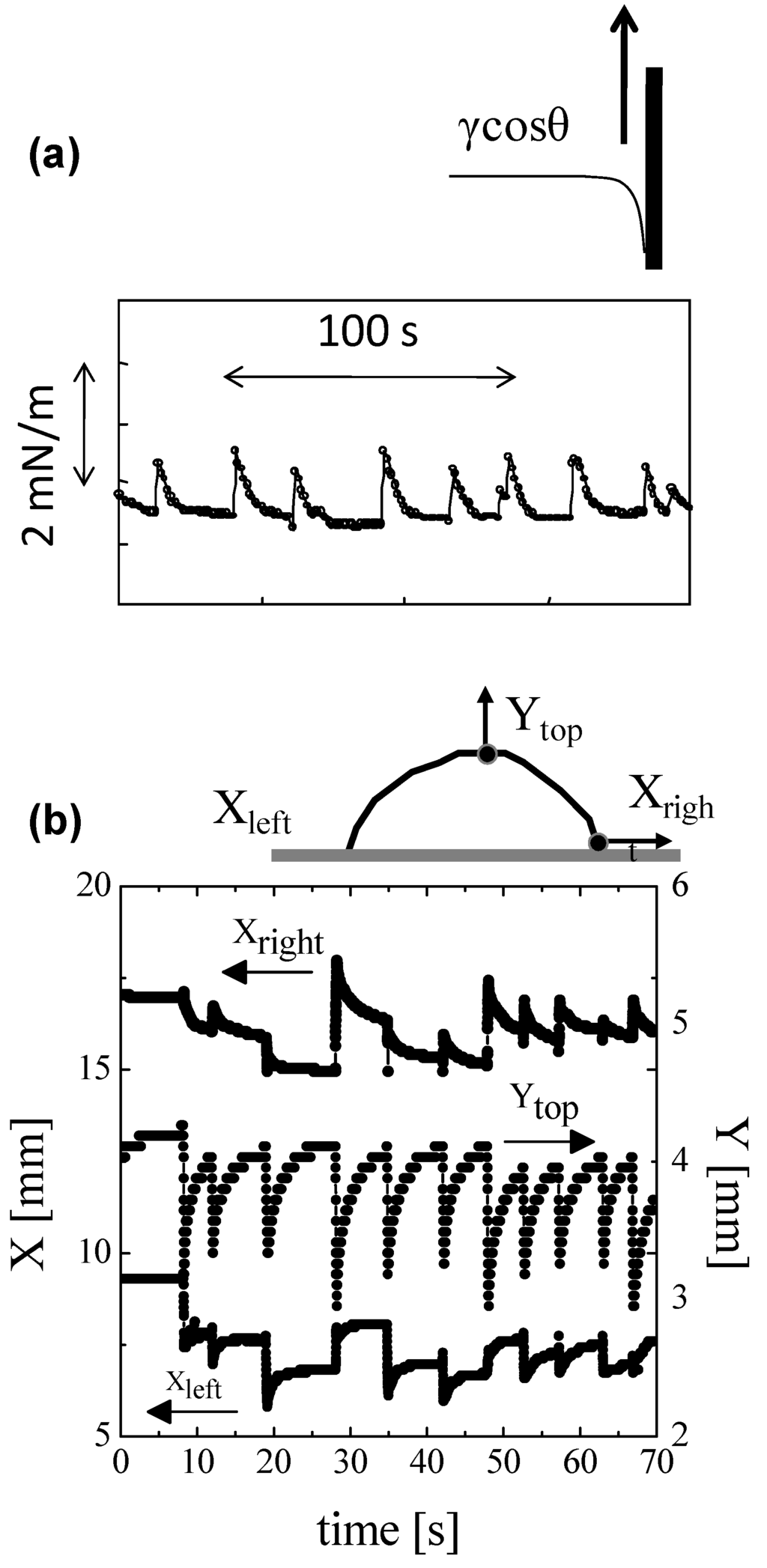 Entropy 12 02308 g004 1024