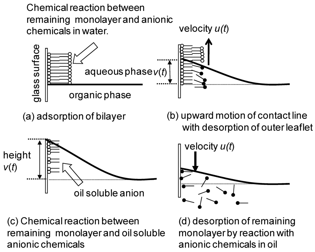 Entropy 12 02308 g005 1024